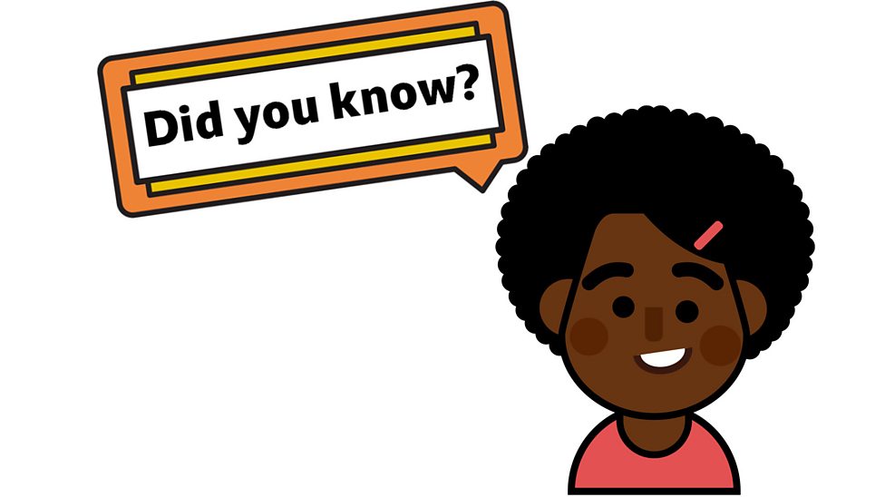 What is a coastal habitat? BBC Bitesize