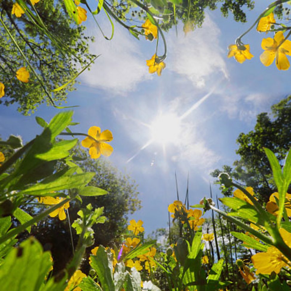 What are exothermic and endothermic reactions? BBC Bitesize