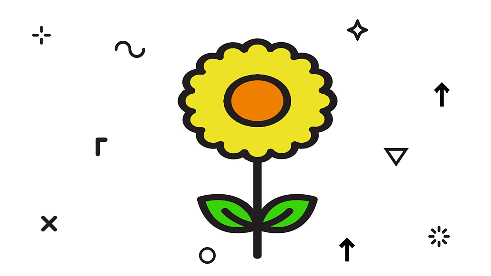 What does a plant need to grow? BBC Bitesize