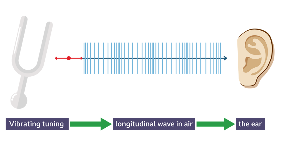 sound-waves-bbc-bitesize