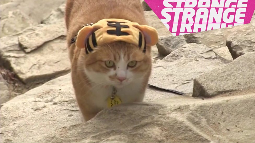 Strange News: Time for a little bit of weird!