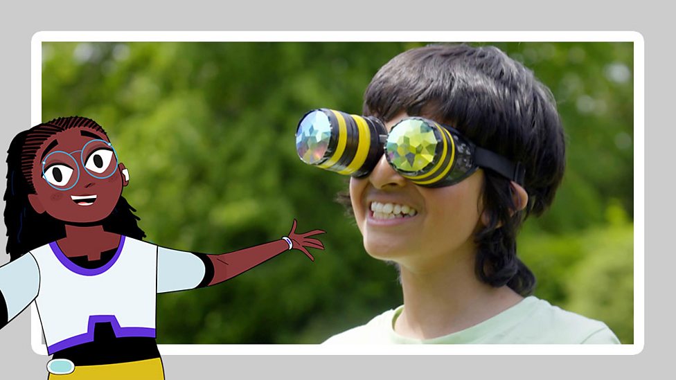 How do plants grow from a seed? KS2 The Regenerators BBC Bitesize