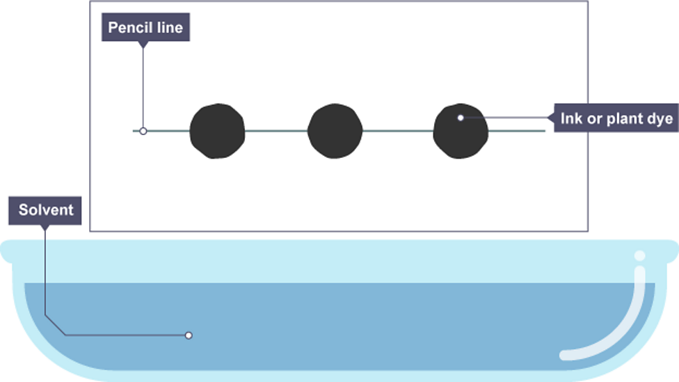 Chromatography guide for KS3 chemistry students BBC Bitesize