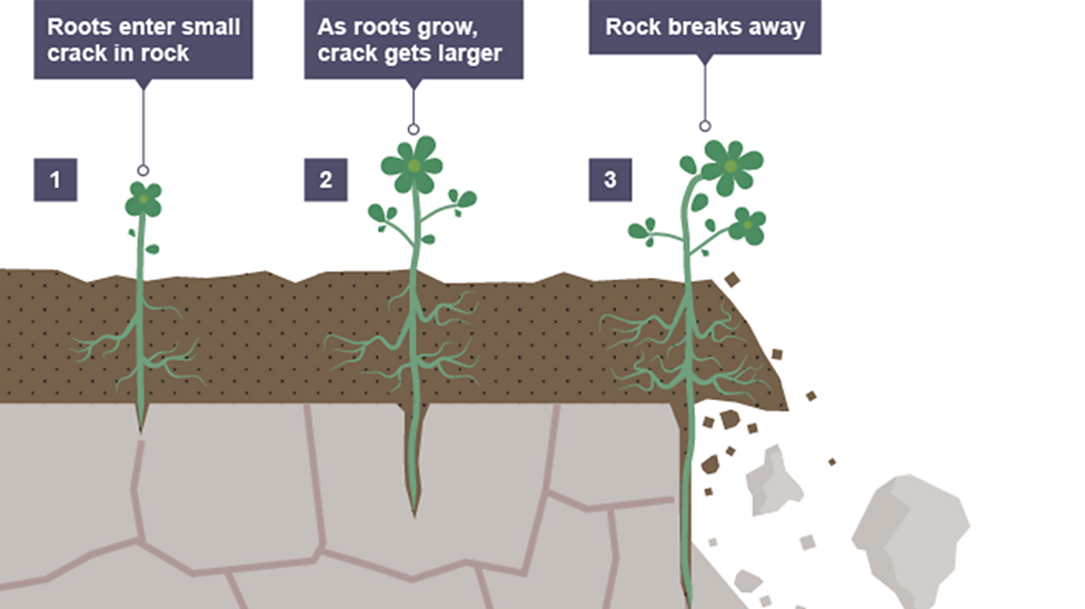 The Rock Cycle The Earth And Atmosphere Ks3 Chemistry Bbc Bitesize 3283