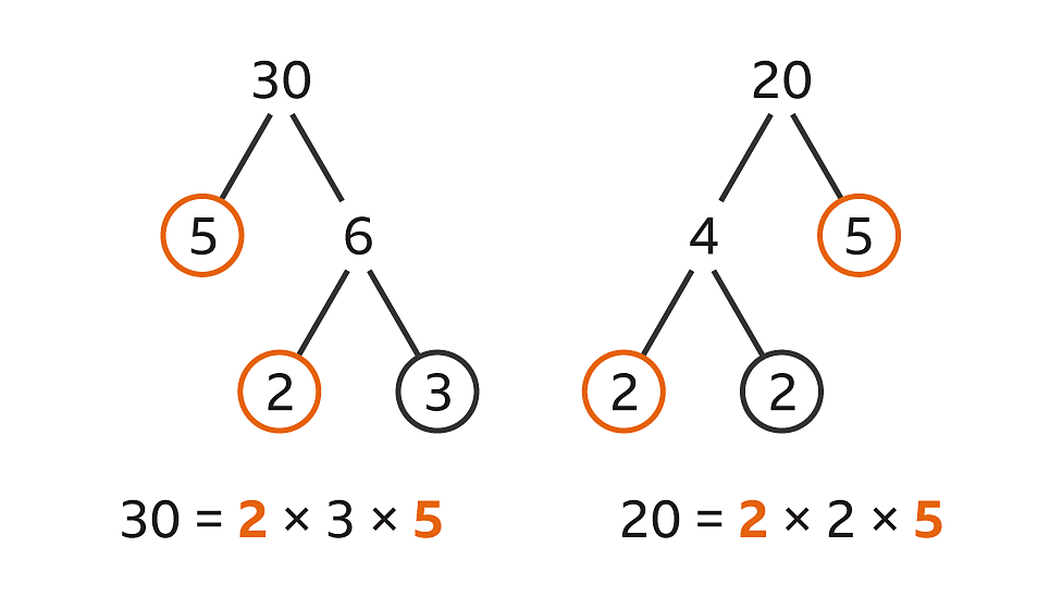 Prime Numbers Factors And Multiples Ks3 Maths Bbc Bitesize 5032