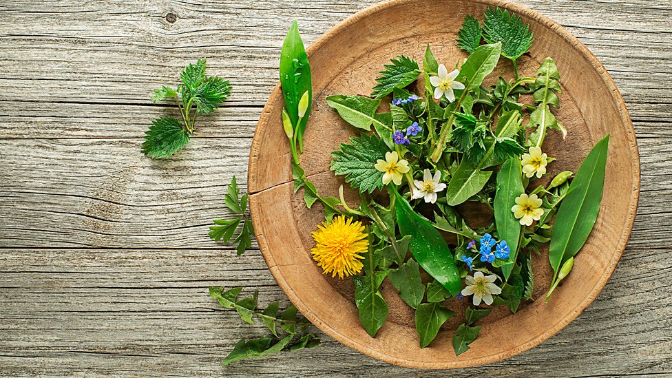 How to spring forage safely - BBC Food