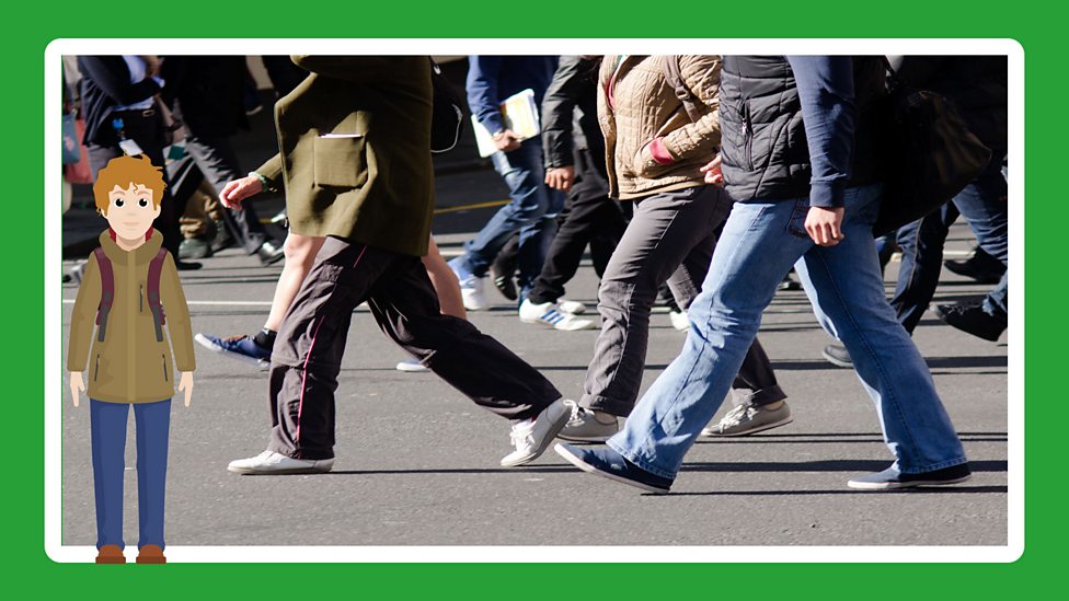 Transport in the UK KS2 Geography Year 3 and Year 4 BBC Bitesize