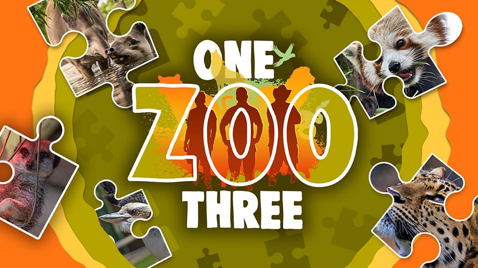 One Zoo Three Jigsaw