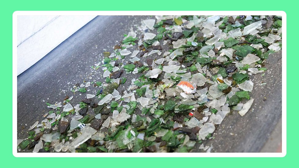 Exploring the UK’s environment KS2 Geography Year 5 and Year 6