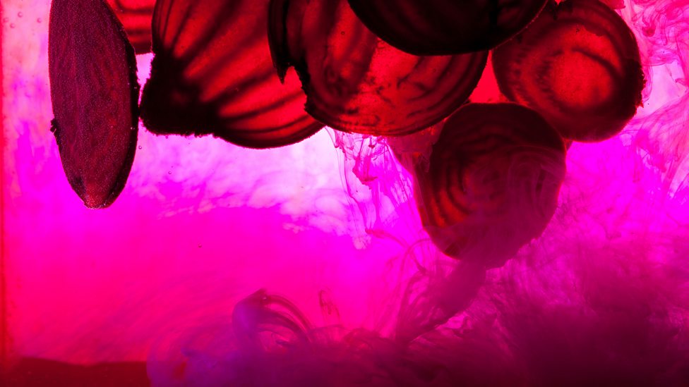 Indicators from plants Acids, bases and salts (CCEA) GCSE