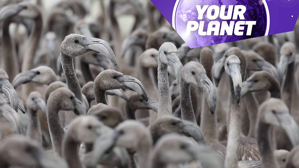 Your Planet: The latest environmental news