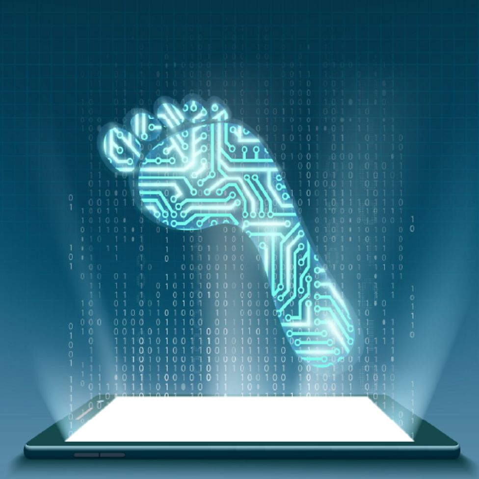 Your online data BBC Bitesize