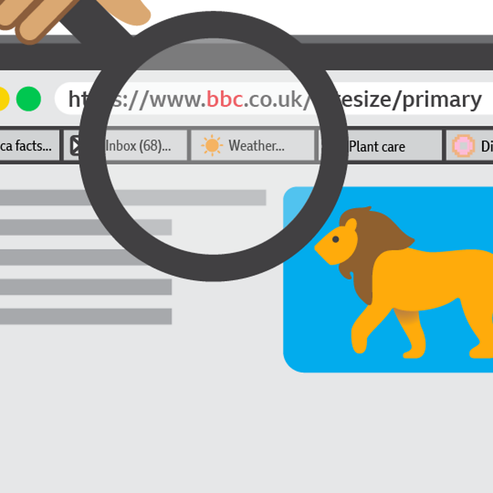 Fact Or Fake - Is Information On The Web Always Reliable? - BBC Bitesize