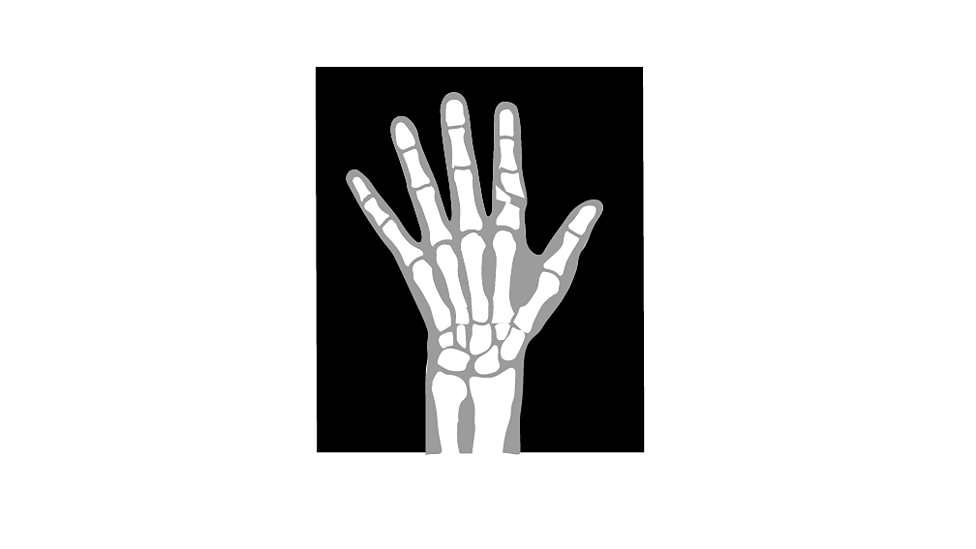 Features, properties and uses of the spectrum guide for