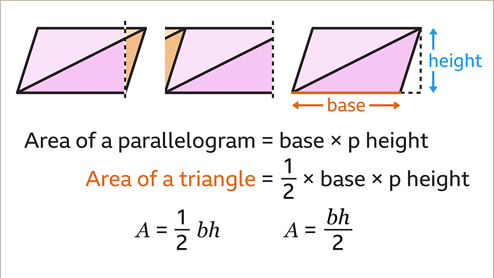Area of triangles KS3 Maths BBC Bitesize
