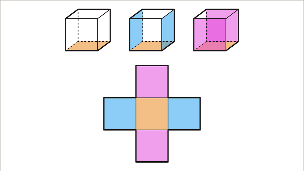 3D shapes and nets KS3 Maths BBC Bitesize