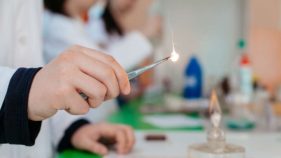 Prescribed Practicals - GCSE Combined Science - BBC Bitesize