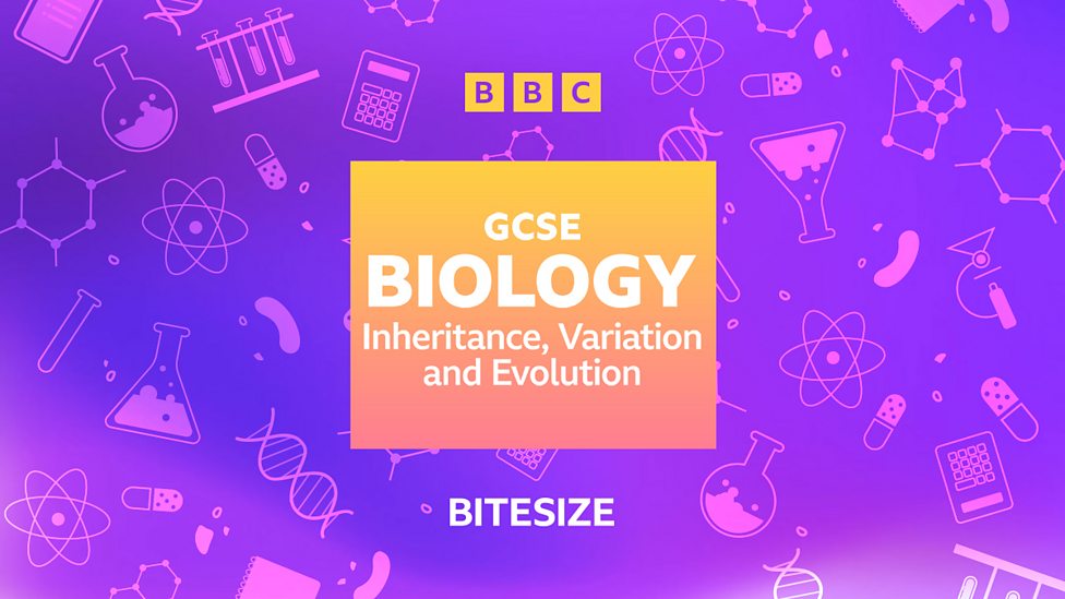 GCSE Combined Science - Edexcel - BBC Bitesize