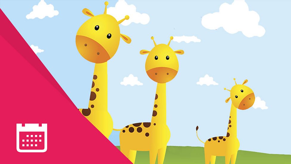 Measuring Year 1 Maths BBC Bitesize