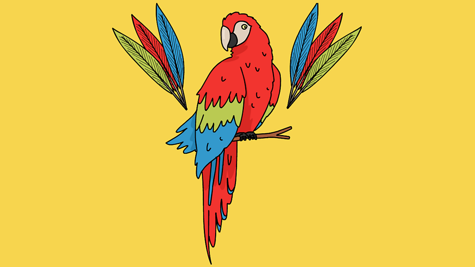 Drawing KS1 Art and Design BBC Bitesize