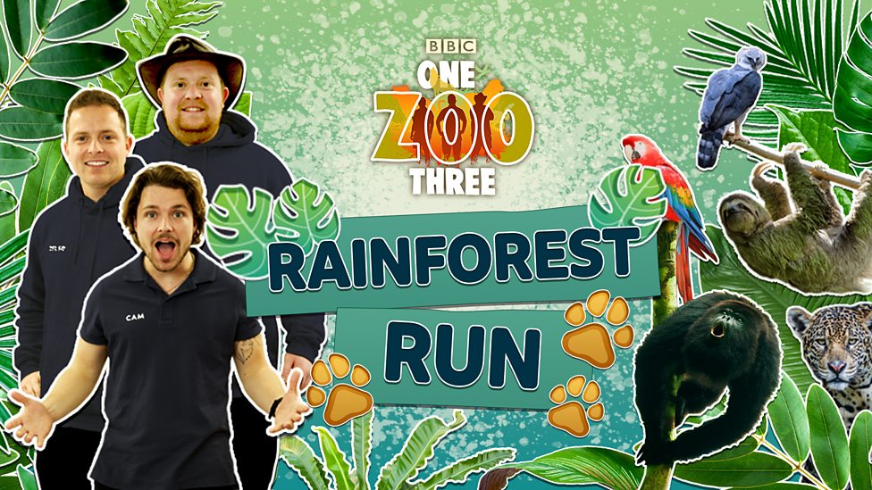 Holding image for One Zoo Three game Rainforest Run