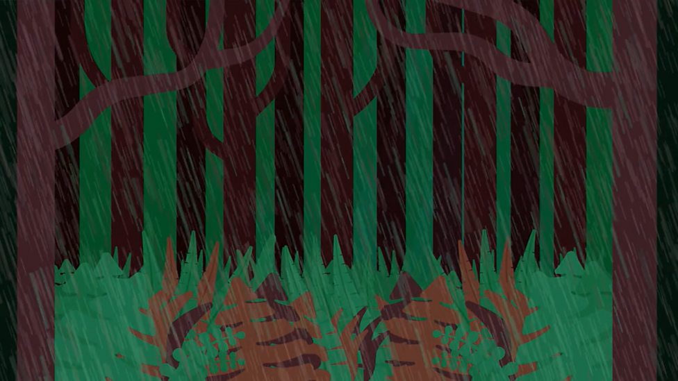 Biomes Humanities Geography age 811 BBC Bitesize