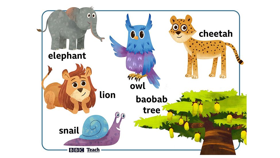 The Baobab Tree: Musical Storyland - BBC Teach