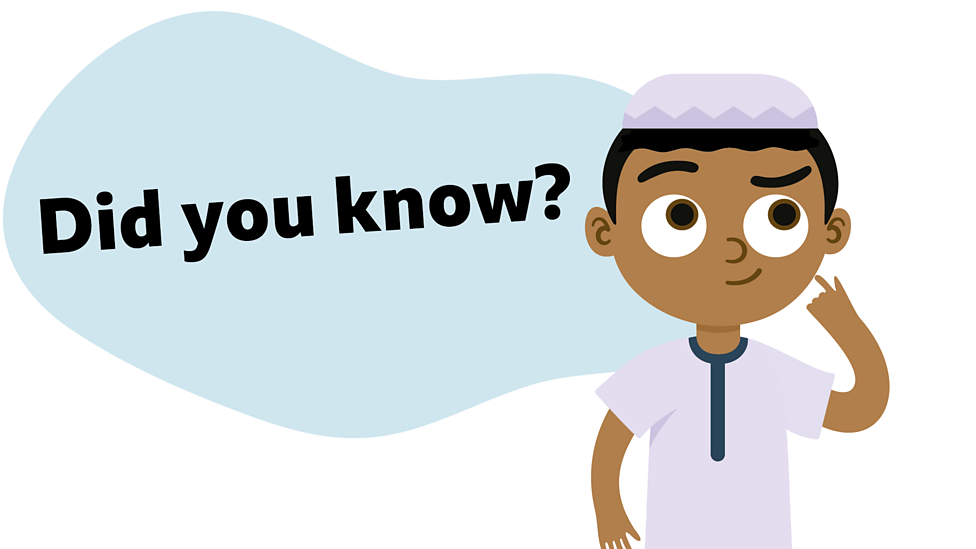 O’clock and half past Maths Learning with BBC Bitesize BBC Bitesize