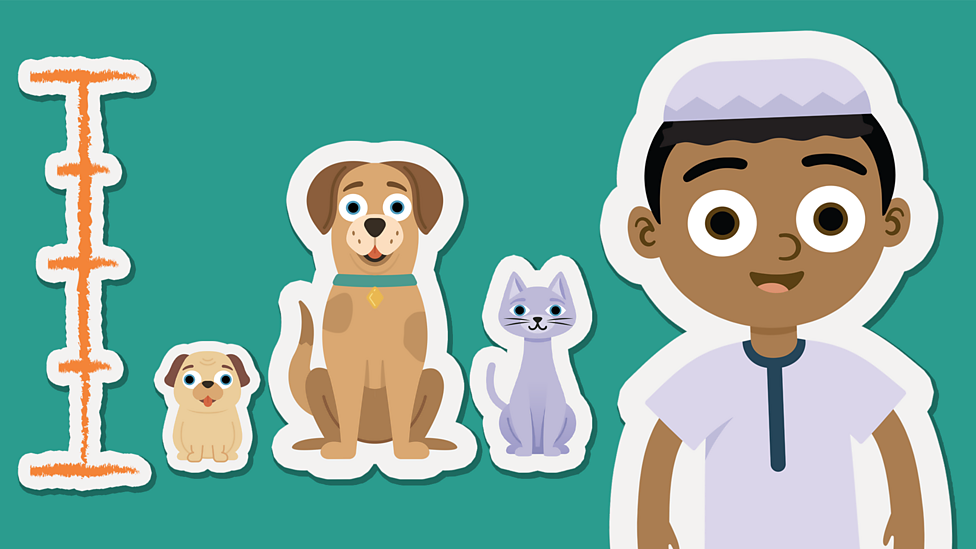 Measuring KS1 Maths BBC Bitesize