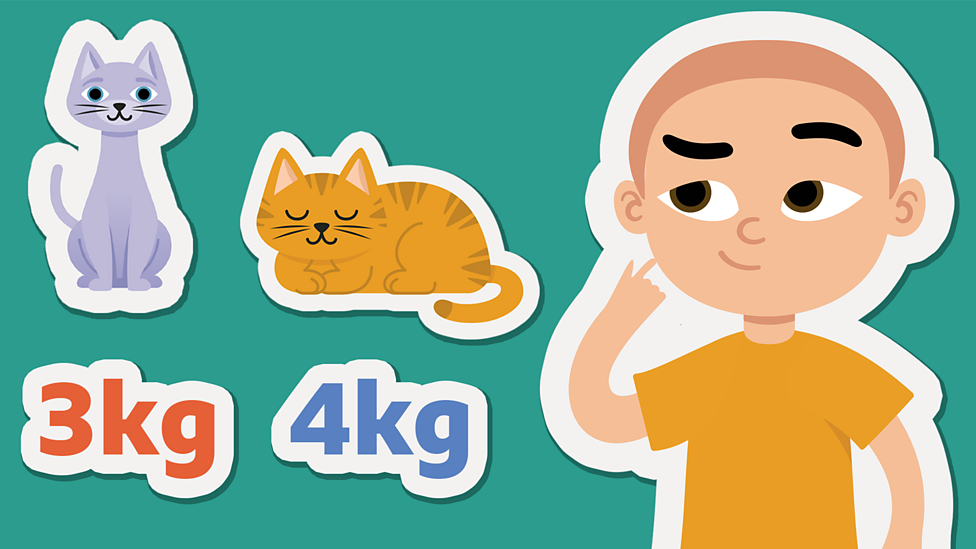 Measuring Year 2 Maths BBC Bitesize