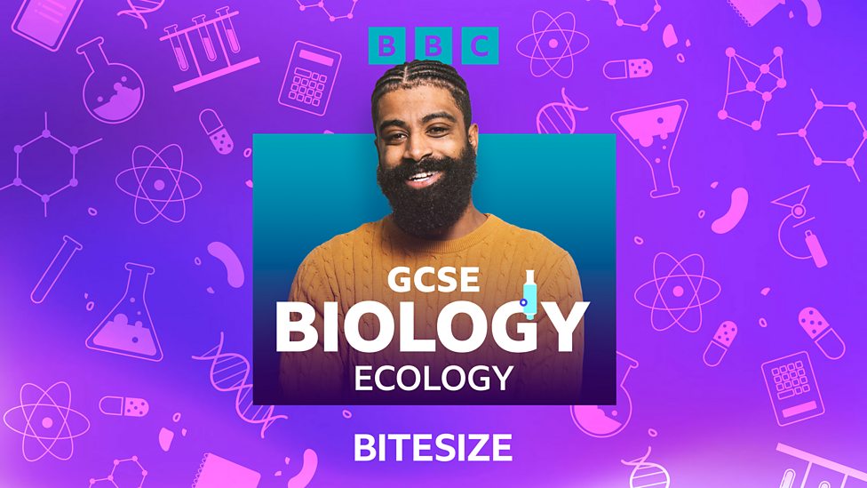 Podcasts - GCSE Biology (Single Science) - BBC Bitesize