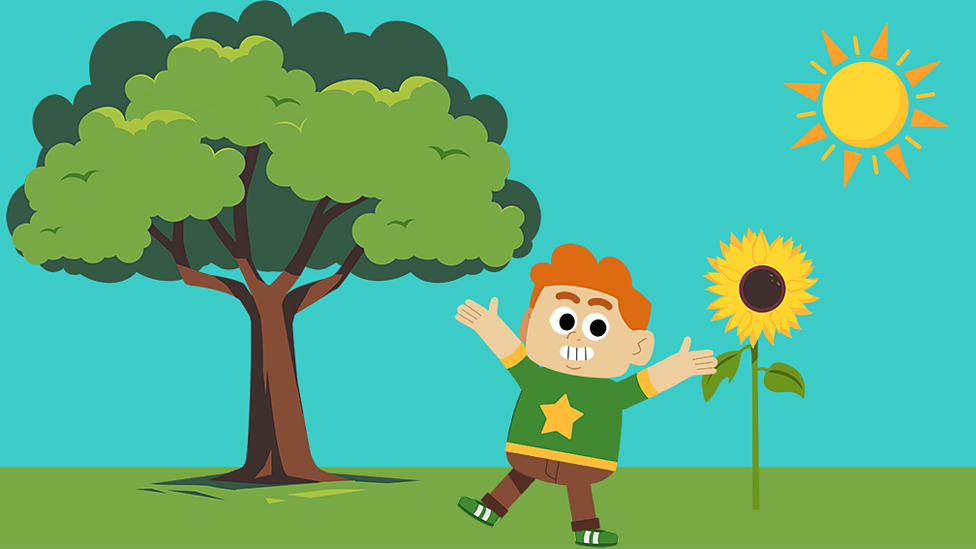Plants ks1 science bbc bitesize
