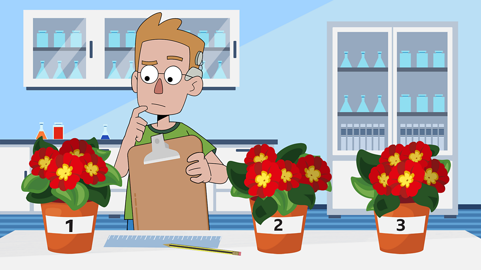 Planning experiments and variables – KS2 Science curriculum - BBC Bitesize