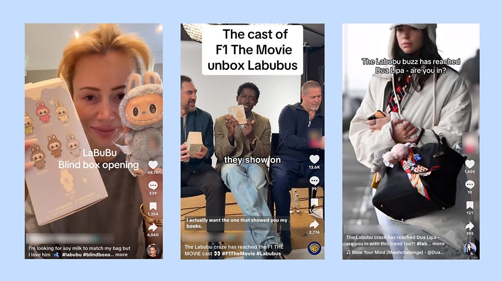 Is your Labubu fake? - BBC Bitesize