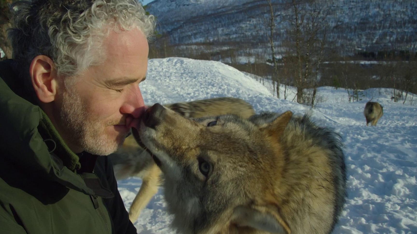 Inside the most northerly wildlife park in the world