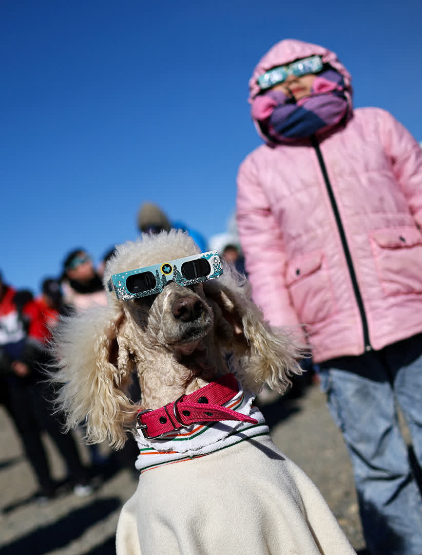 Dana the dog wears glasses as people watch an annular solar eclipse, in Las Horquetas, Santa Cruz, Argentina, 2 October 2024.