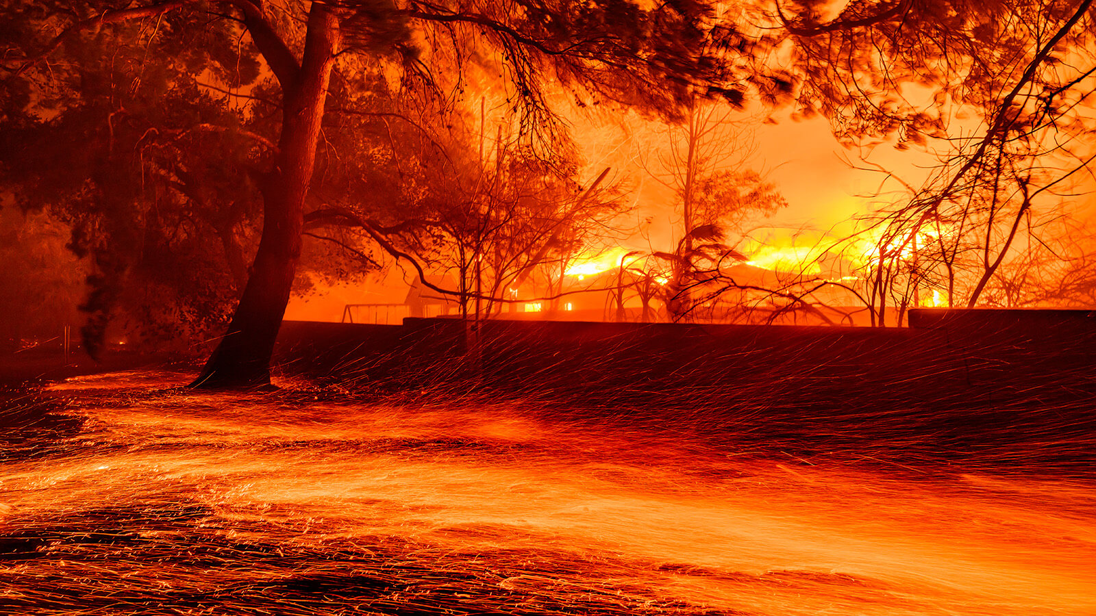 Los Angeles wildfires: in pictures - BBC News