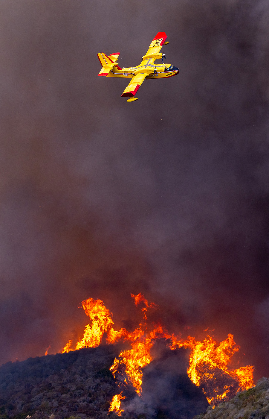 A Super SCooper plane drops water on the Palisades fire