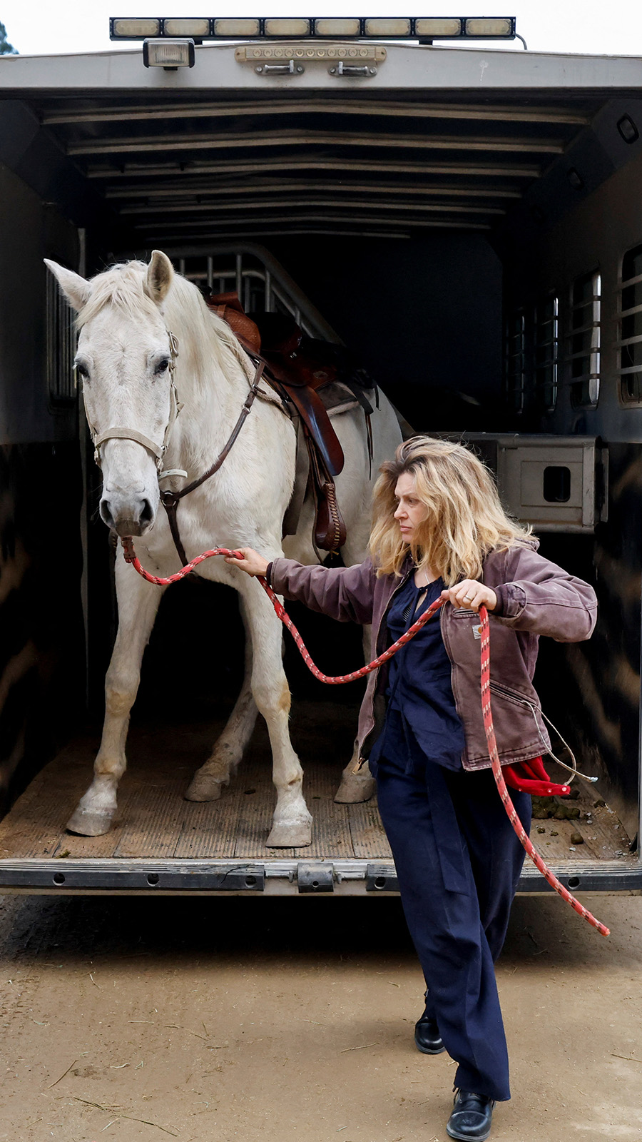 Animals are evacuated from a number of wildfires, at the Los Angeles Equestrian Center in Burbank,