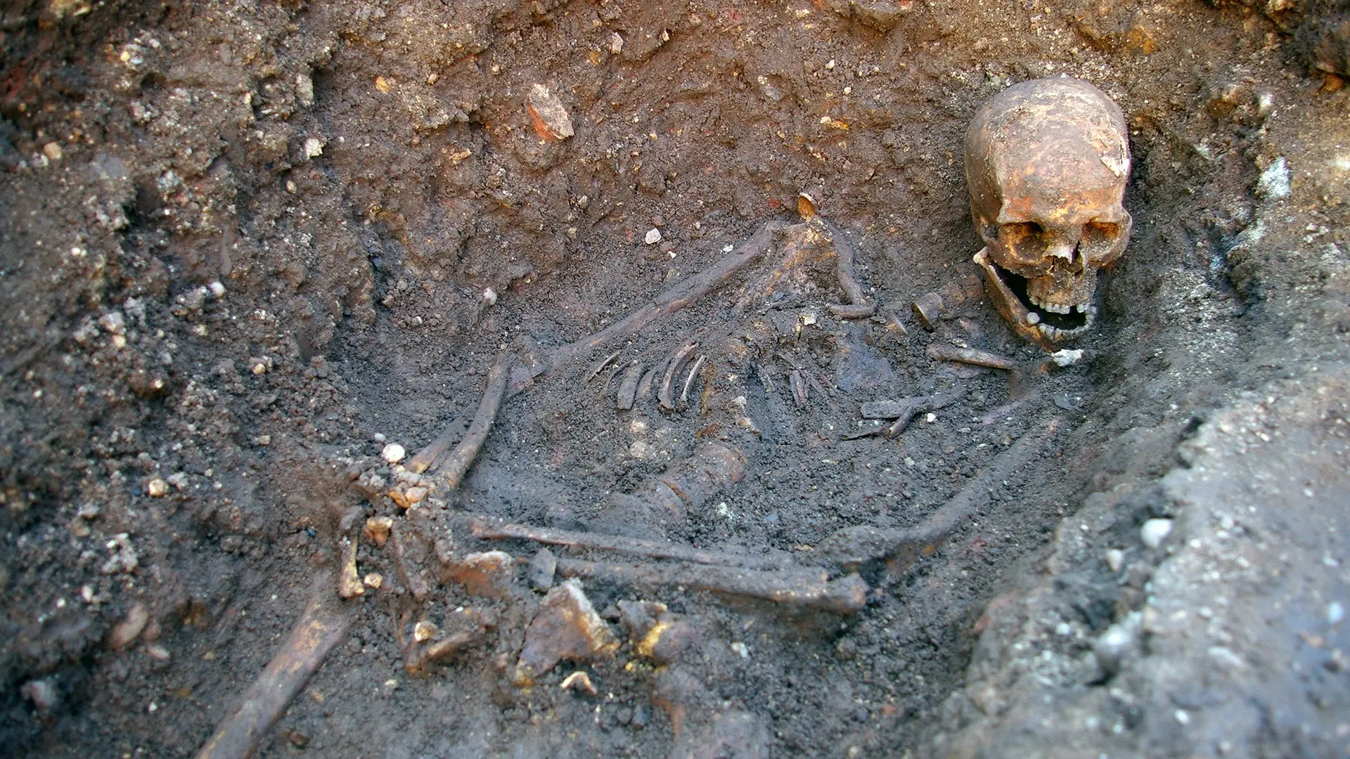 Richard III: The 'accidental' photo of a long lost king