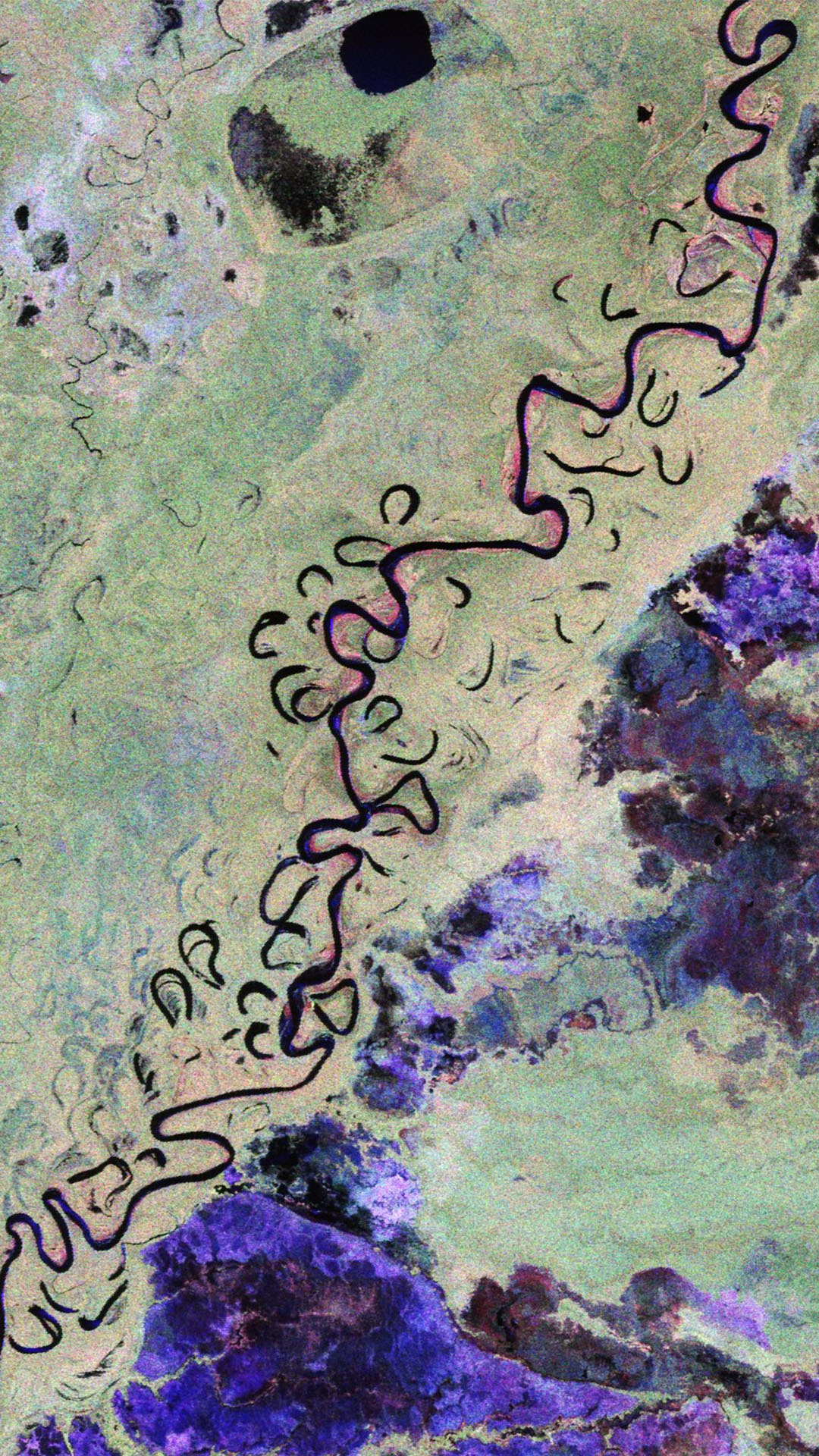 The image changes colour with the river in black, with pink edges, and the forest different shades of green.