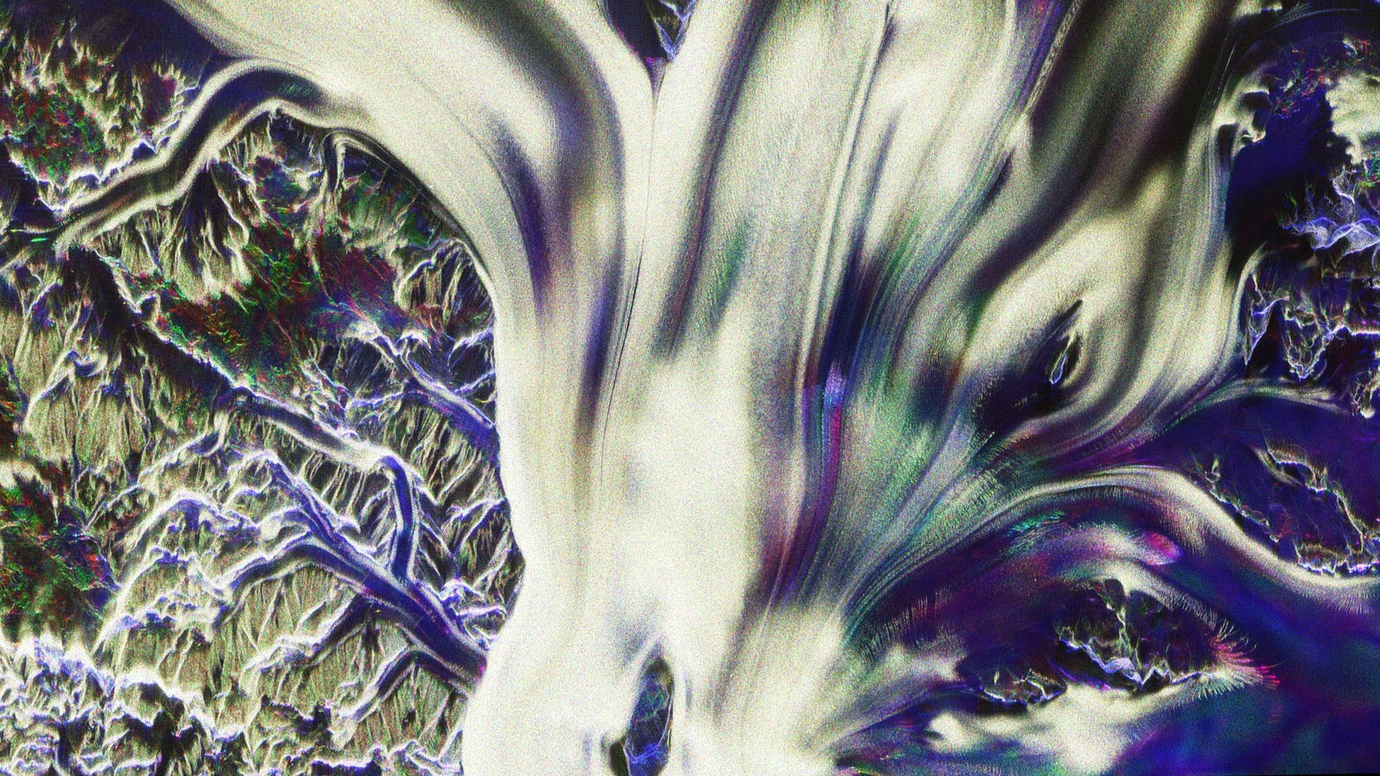 Waves and ribbons of white, green, purple and pink spread out over the glacier. There are what look like tree branches in purple coming off it.