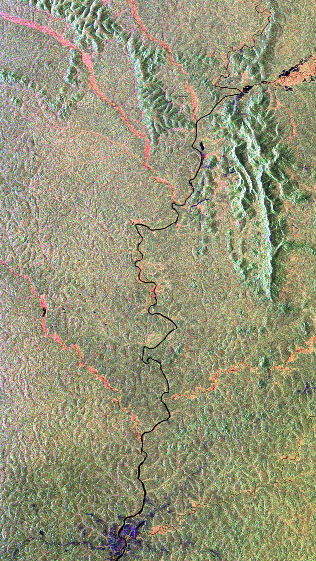 A satellite image shows a river running through the rainforest. There are different shades of green and purple representing different types of terrain.