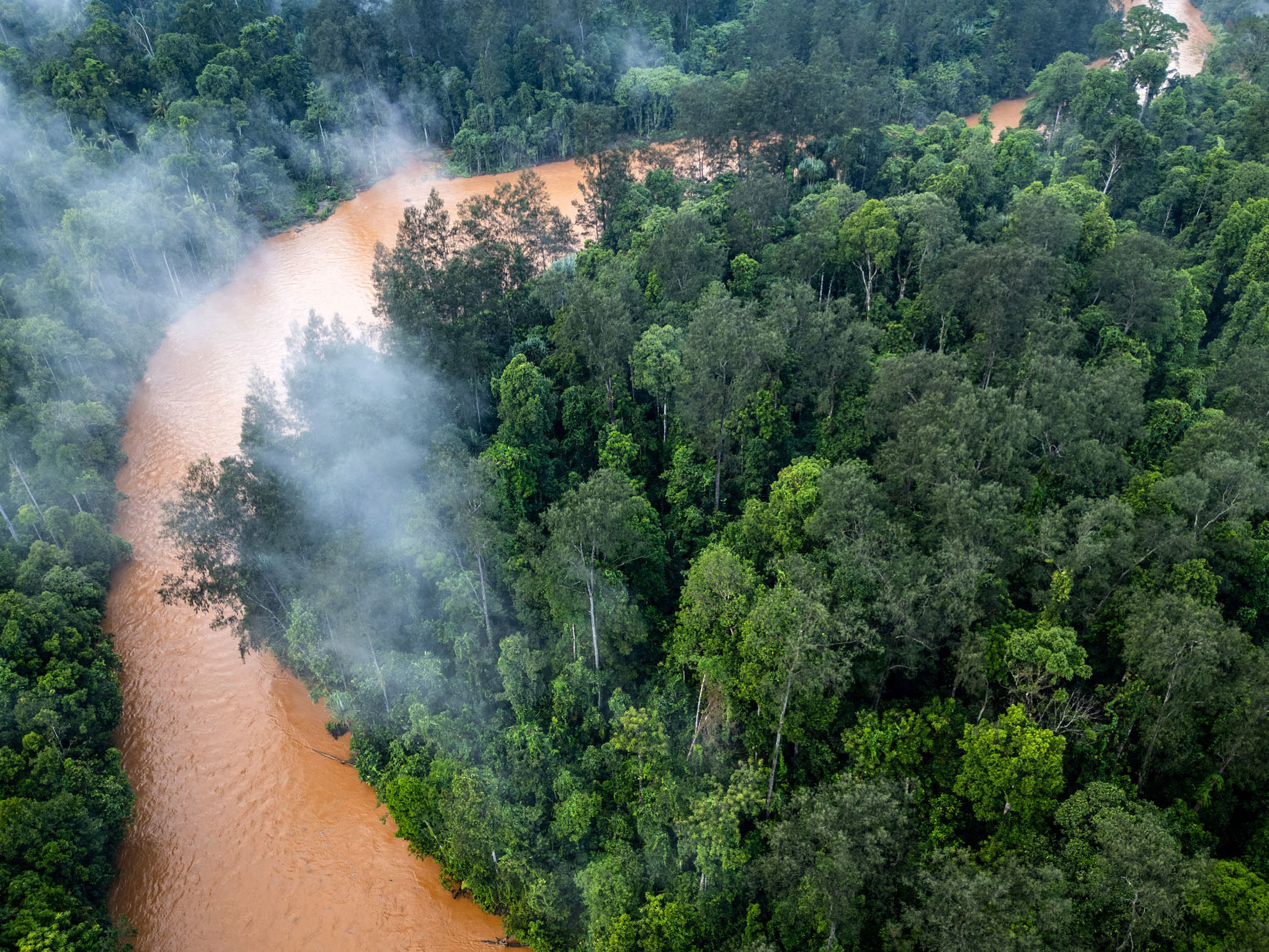 Aerial shot of the rainforest, with the brown river running past dense forest