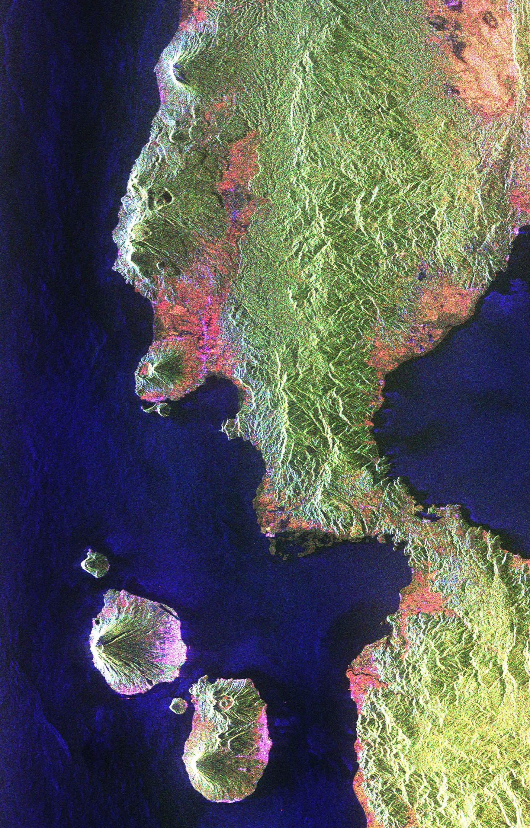 A satellite image again shows the forest in green with pink hues, cutting through the cloud cover