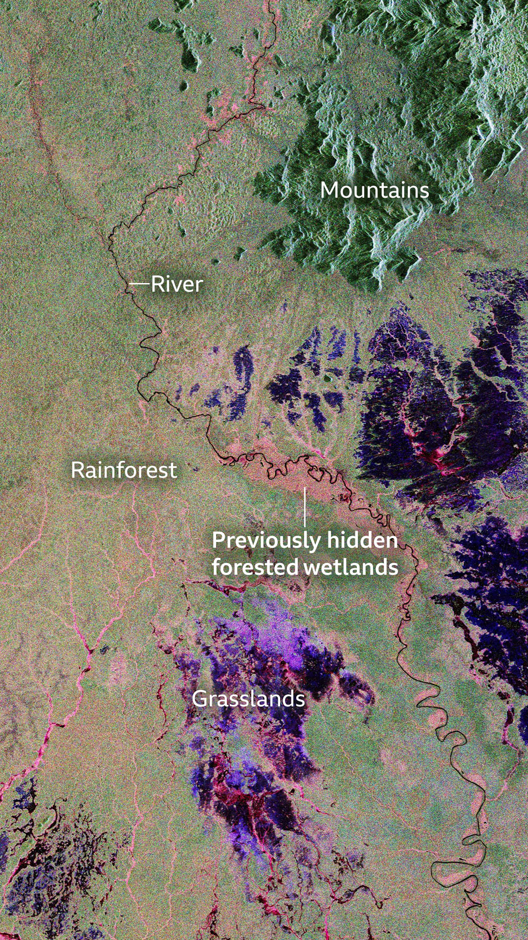 Satellite images use different colours to indicate different terrain. Mountains appear in green. There are forested floodplains either side of a river that are coloured pink. Rainforest is green with pink running through it. The river is black. There are also purple shades that are not labelled.