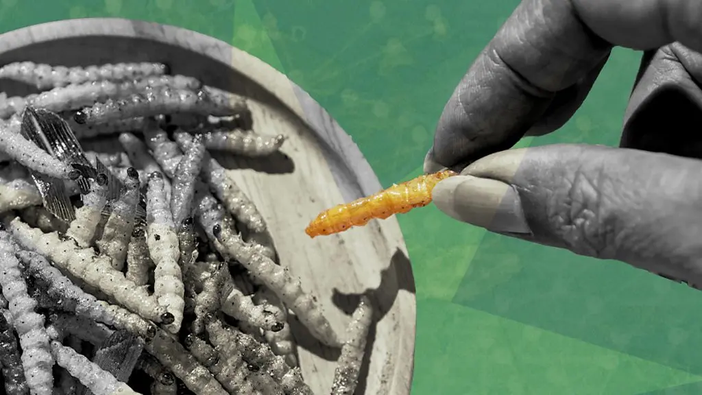 A collage showing three sets of teeth biting into grasshoppers on forks held by hands (Credit: Serenity Strull / BBC / Getty Images)