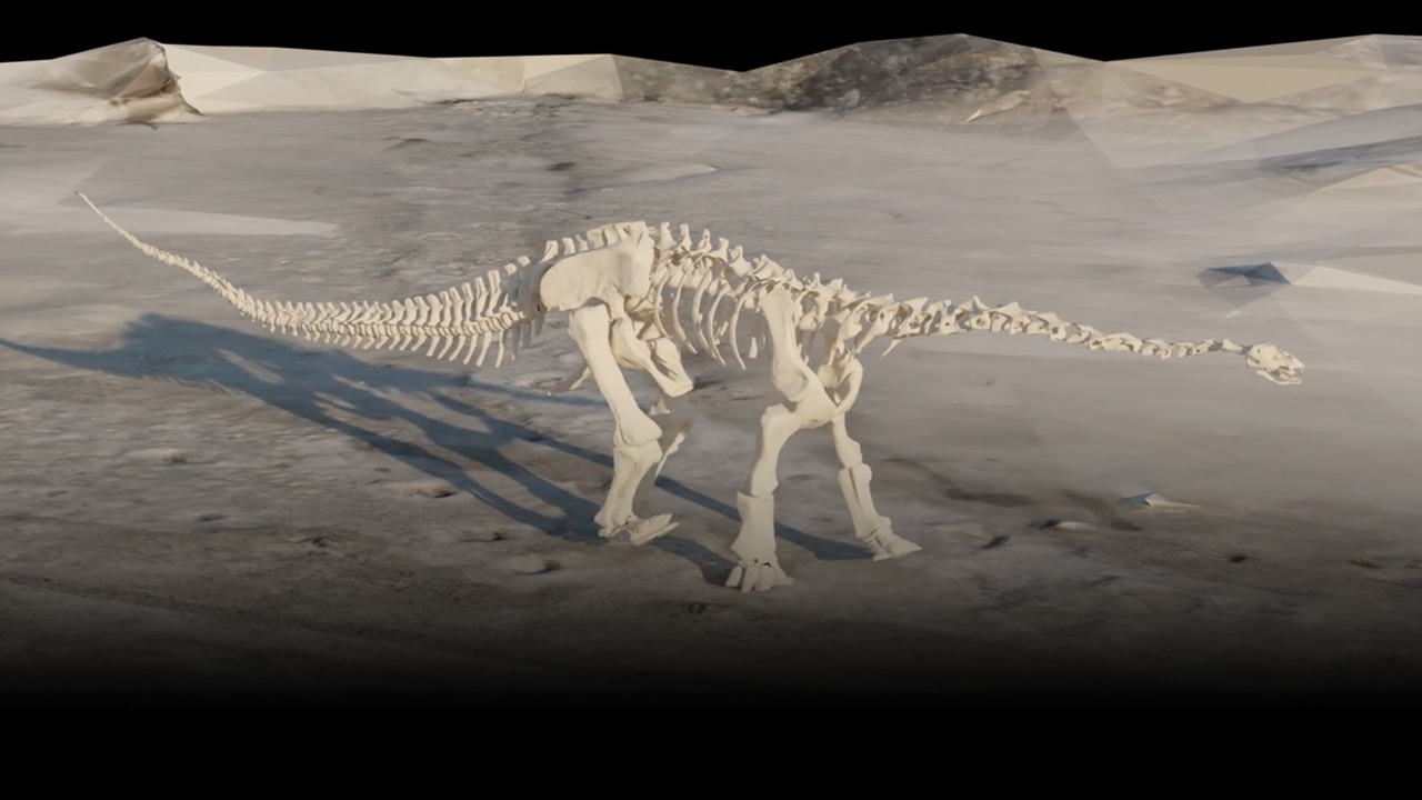 Computer generated skeleton of a large sauropod dinosaur.