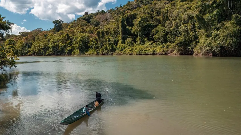 An aerial view of an Amazon river (Credit: Karen Toro)