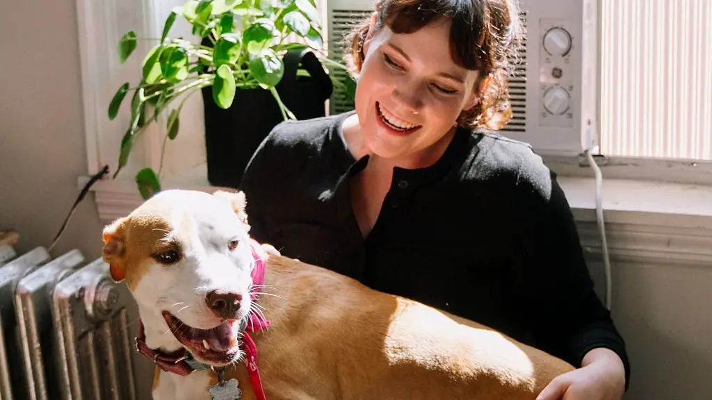 Margot the dog listens attentively as a TV behind her can be seen playing a classical piece (Credit: Serenity Strull)